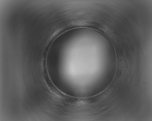 X0000056350111200509021732