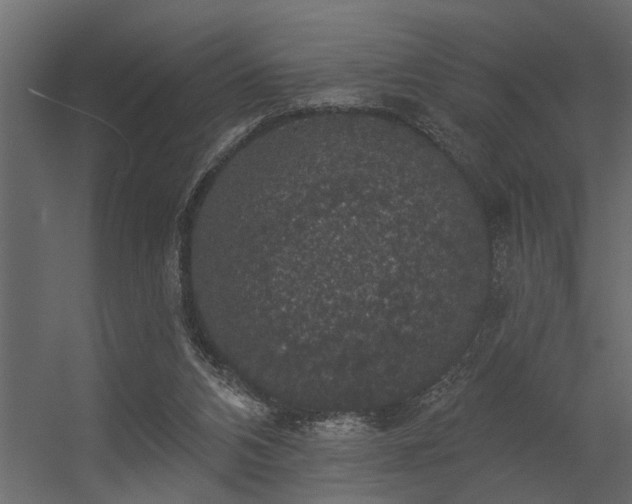 X0000056350112200509021732