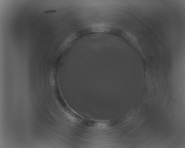 X0000056350114200509021732