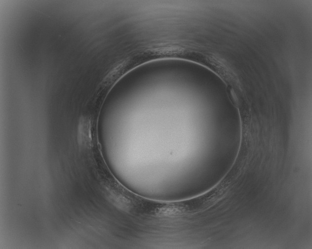 X0000056350115200509021732