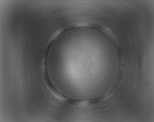 X0000056350116200509021732