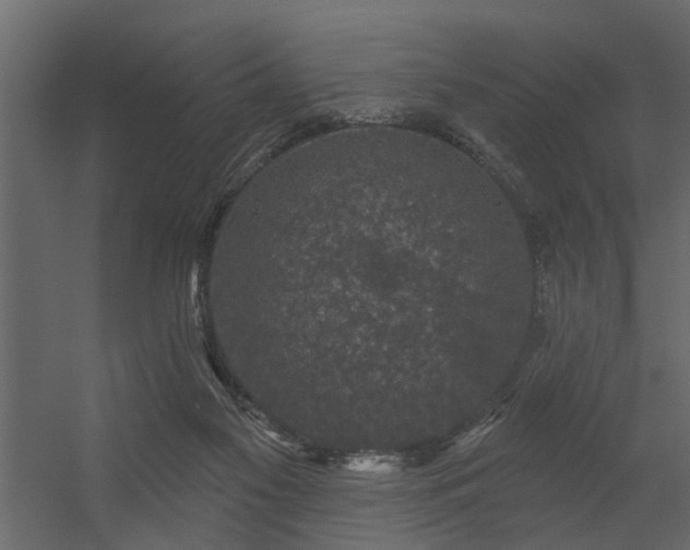 X0000056350117200509021732