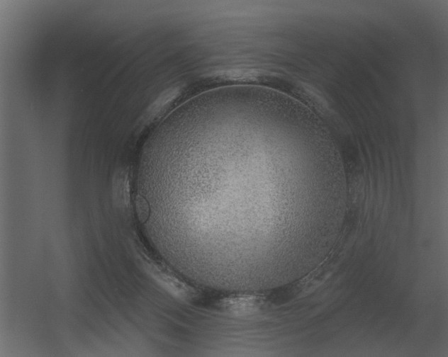 X0000056350120200509021732