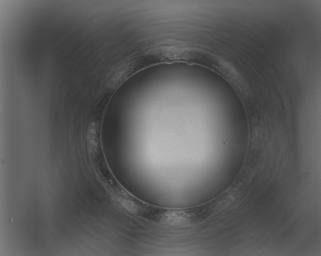 X0000056350121200509021732