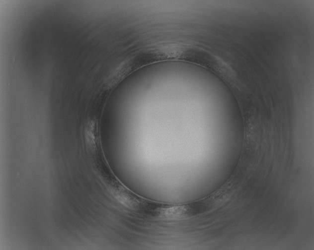 X0000056350122200509021732