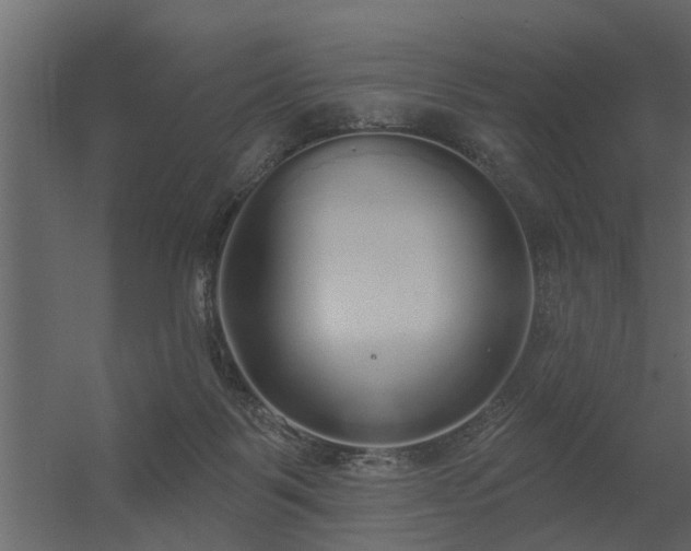 X0000056350123200509021732