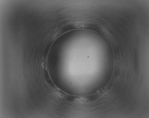 X0000056350125200509021732