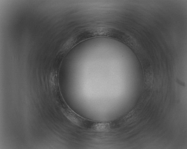 X0000056350126200509021732