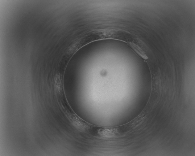 X0000056350129200509021732