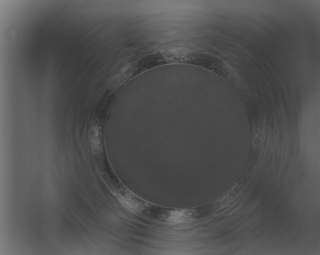 X0000056350130200509021732