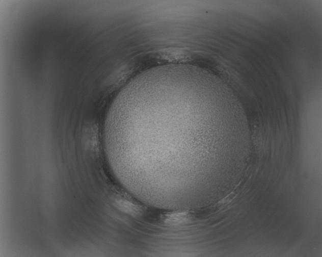 X0000056350132200509021732