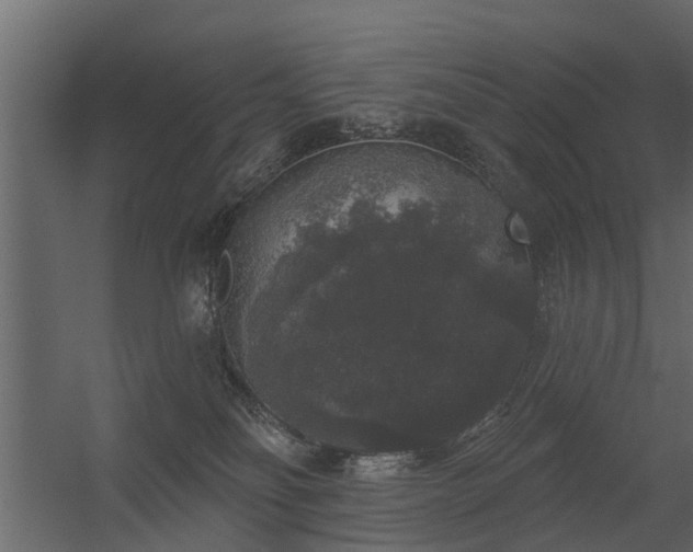 X0000056350134200509021732