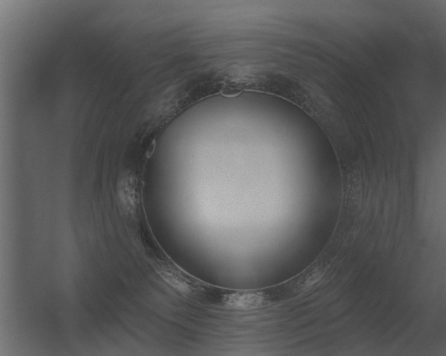 X0000056350135200509021732