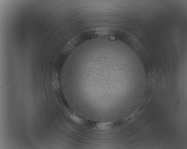 X0000056350136200509021732