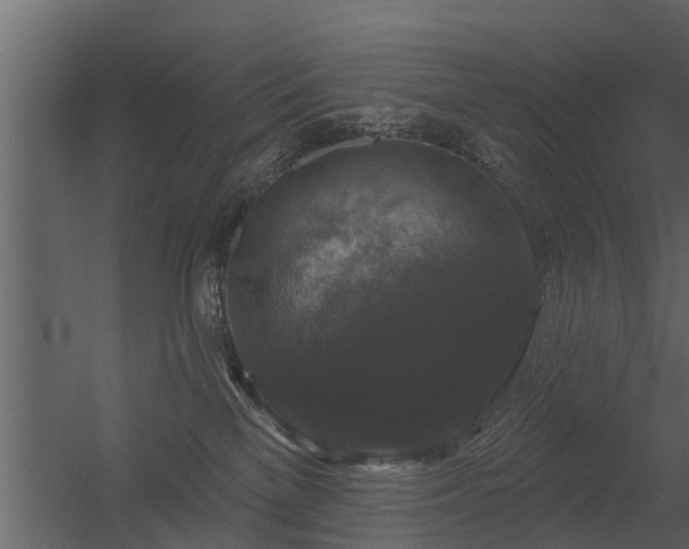 X0000056350137200509021732