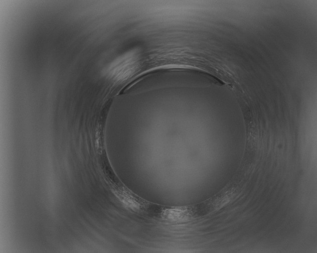 X0000056350139200509021732