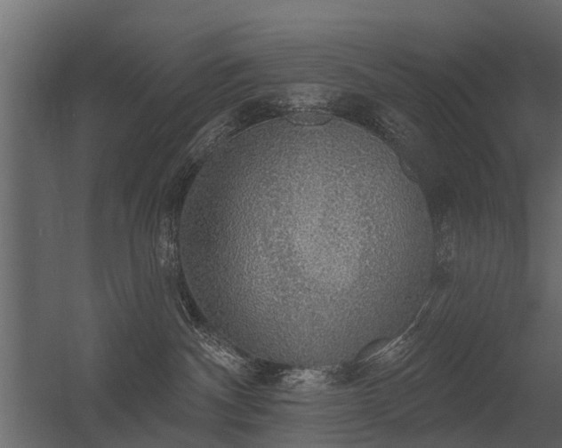 X0000056350140200509021732