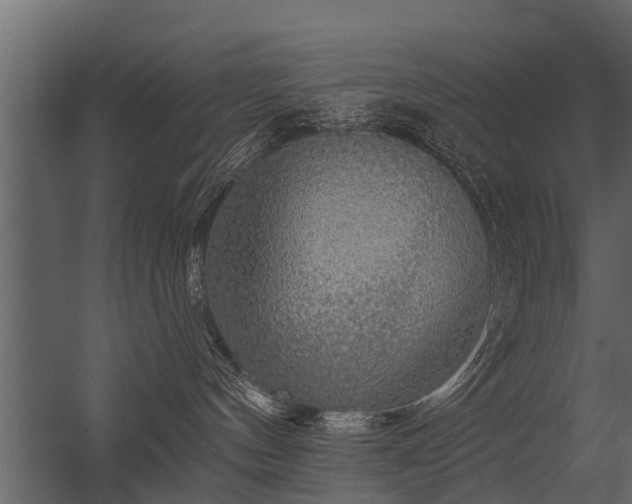 X0000056350144200509021731