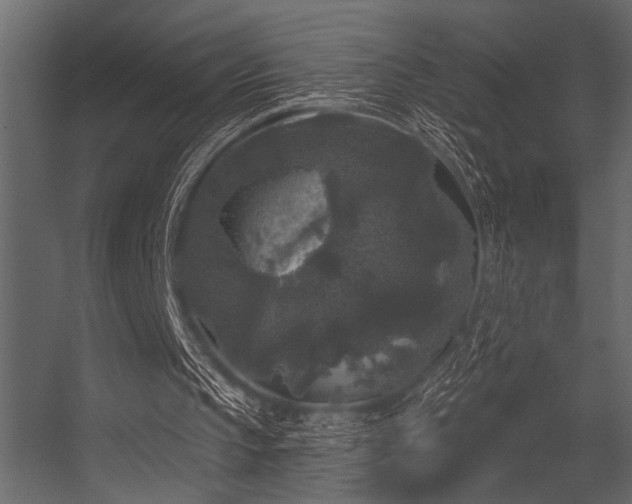 X0000056350145200509021731