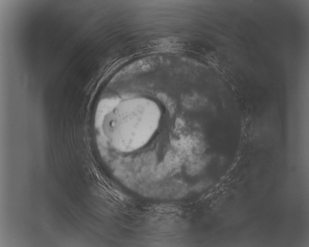 X0000056350146200509021731