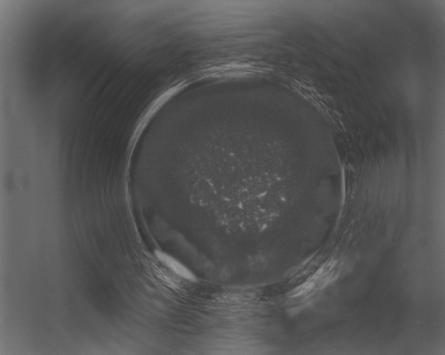 X0000056350147200509021731