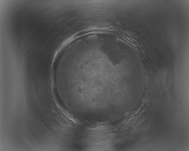 X0000056350149200509021731