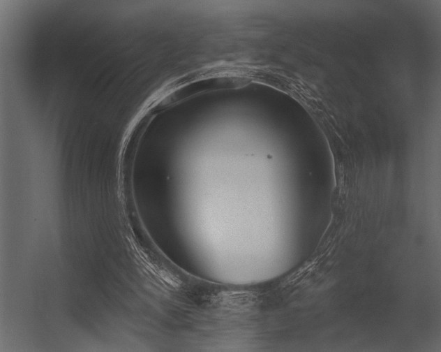 X0000056350150200509021731