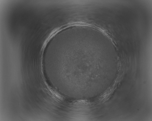 X0000056350151200509021731