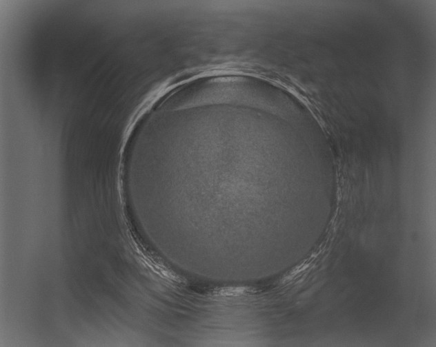 X0000056350152200509021731