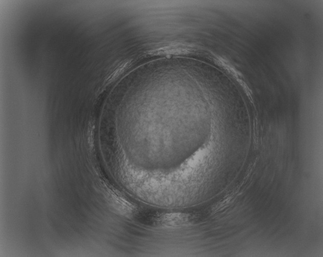 X0000056350153200509021731