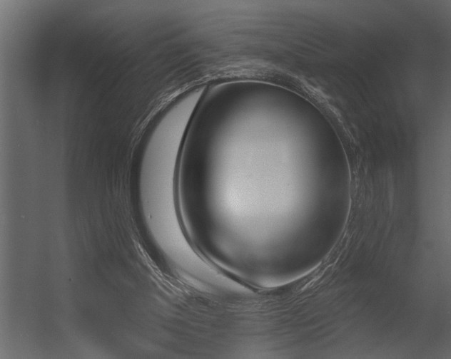 X0000056350154200509021731