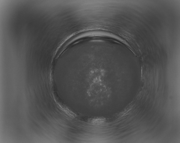 X0000056350156200509021731