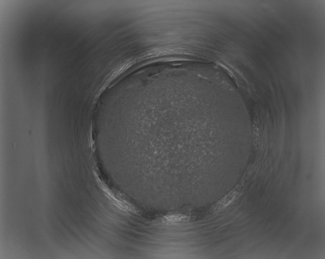 X0000056350158200509021731