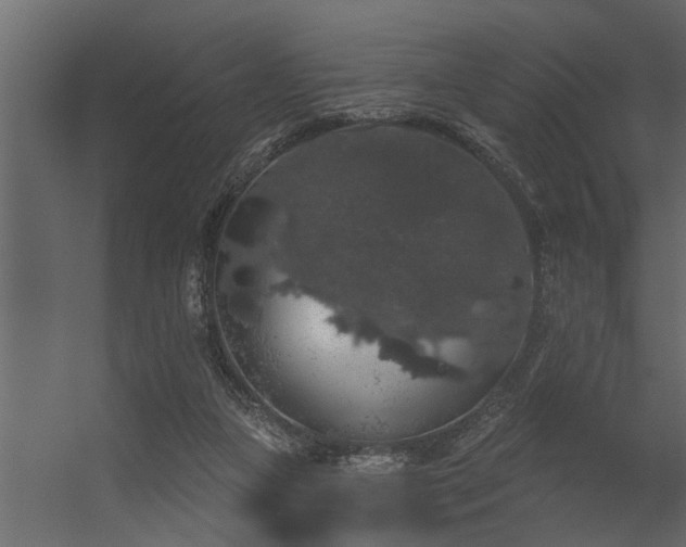 X0000056350161200509021731