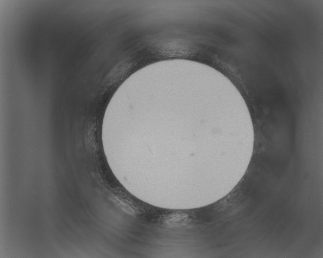 X0000056350162200509021731