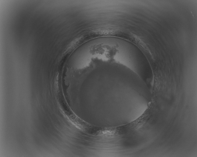 X0000056350163200509021731