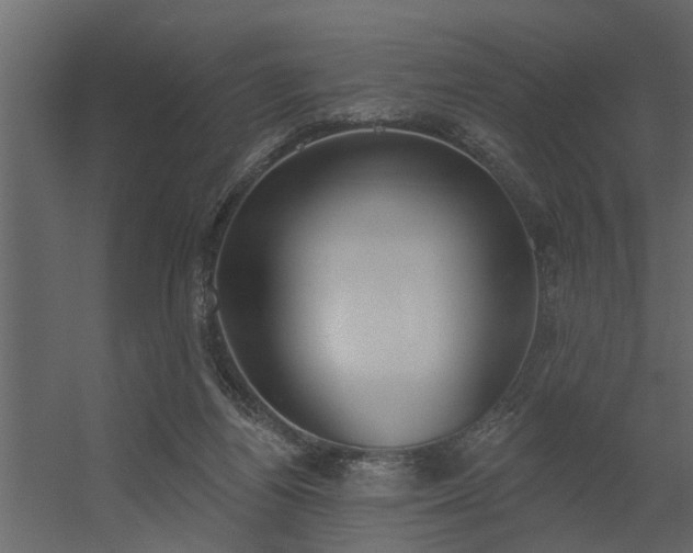 X0000056350164200509021731