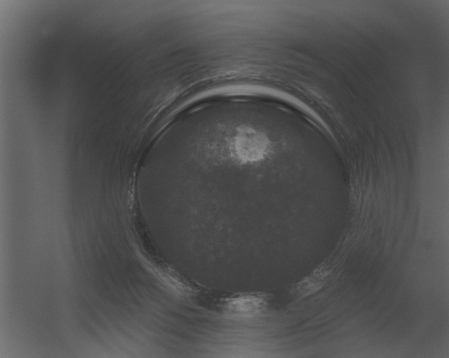 X0000056350168200509021731