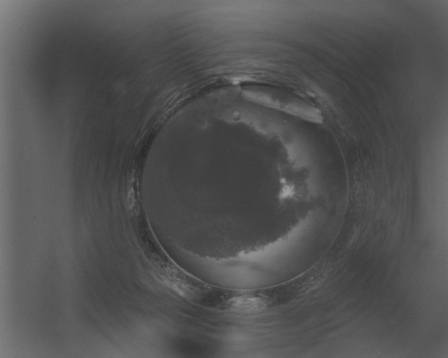 X0000056350169200509021731