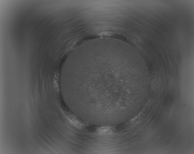 X0000056350175200509021731