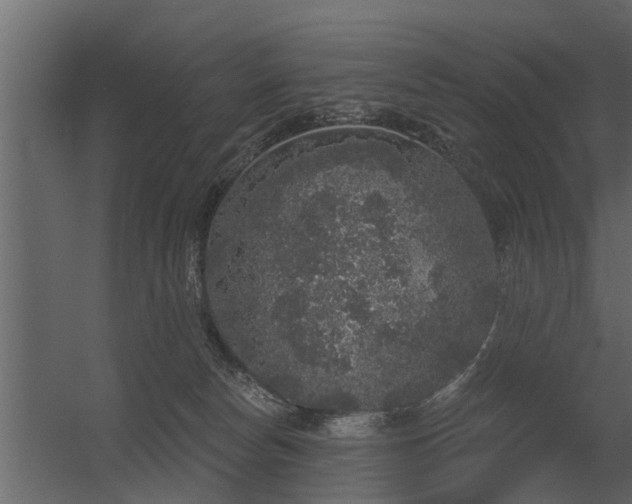 X0000056350178200509021731