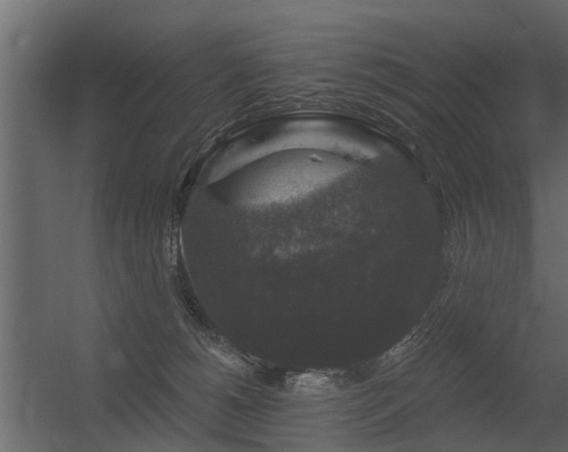 X0000056350180200509021731