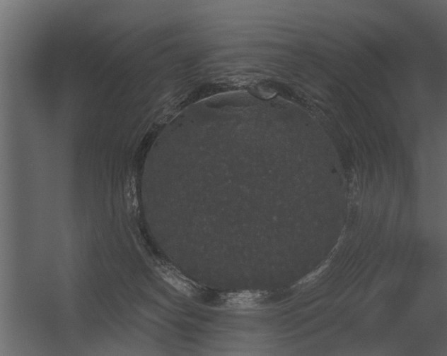 X0000056350182200509021731