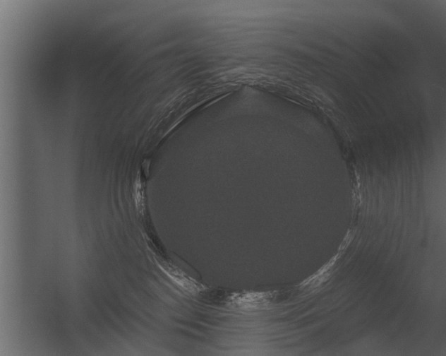 X0000056350186200509021731