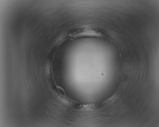 X0000056350188200509021731