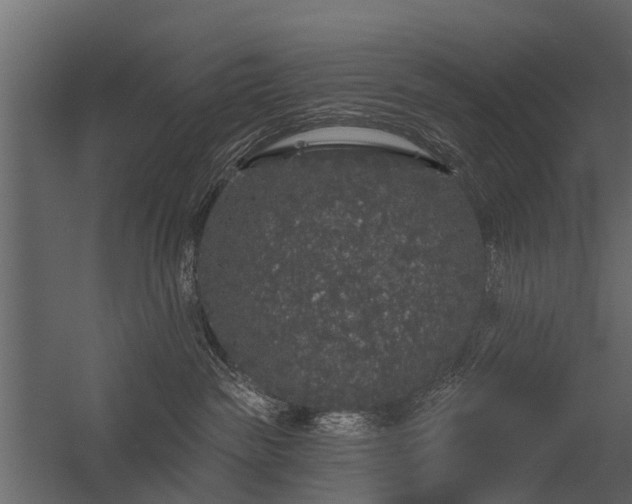 X0000056350189200509021731