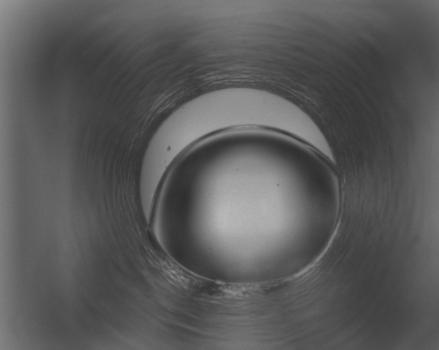 X0000056350190200509021731