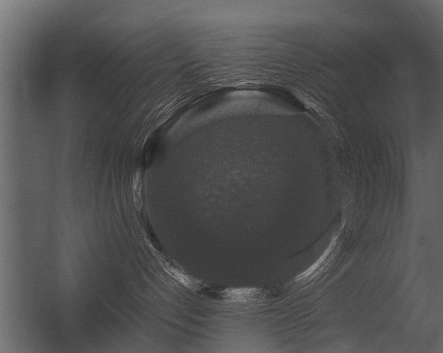 X0000056350192200509021731