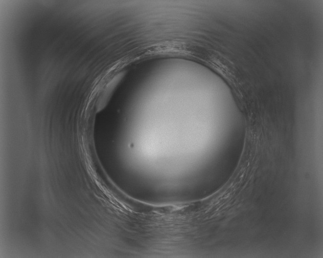 X0000056350193200509021731