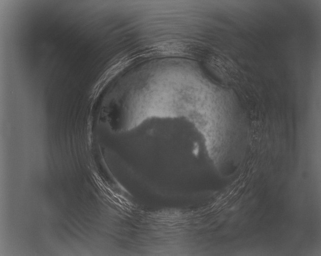 X0000056350194200509021731